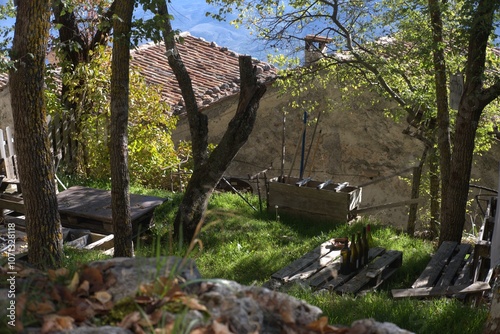 Wine garden in Italian town