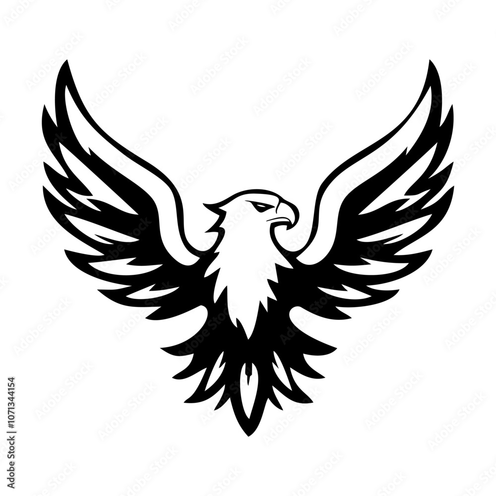 Obraz premium dove with wings