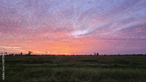 Canvas Print Twilight clouds colored by purplish sunlight in the afternoon sky