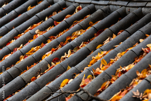 old tiled roof with the fallen leaves photo