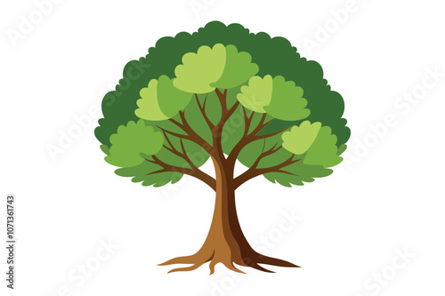beech tree vector illustration with white background
