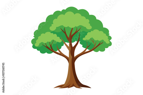 beech tree vector illustration with white background