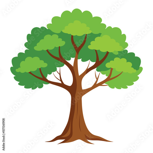 beech tree vector illustration with white background