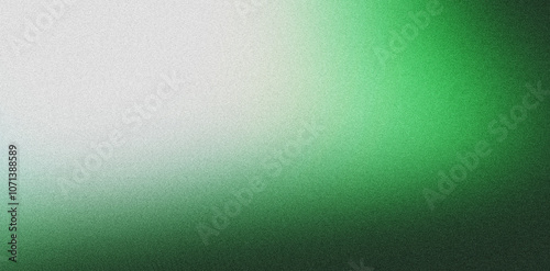 фотографія smooth light green and white gradient background with a soft grainy texture for