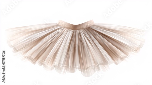 Tutu illustration showcasing a ballet skirt from a front view on a white background, ideal for dance-themed designs.