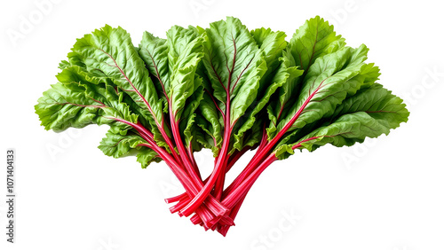Fresh Swiss chard vegetable on transparent background