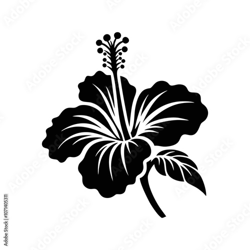 Hibiscus flower black white silhouette