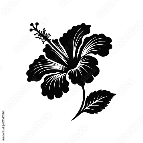 Hibiscus flower black white silhouette