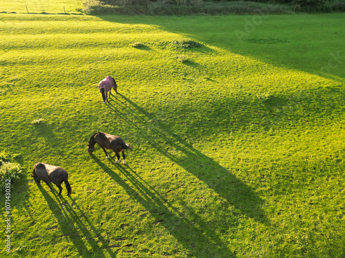 High Angle Image of Horse Farm at Nottingham Countryside of England UK. Image Captured with Drone's Camera During Orange Sunset on October 25th, 2023 photo