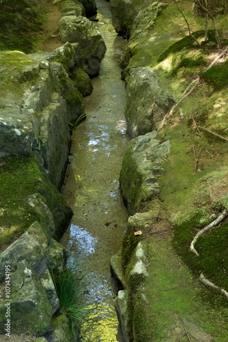 Obraz na płótnie Stream in the forest w salonie