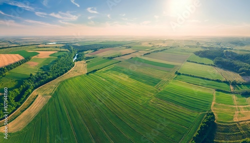 Aerial View of Farmland in Rural Landscape