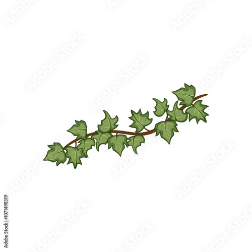 wall green ivy cartoon. garden outdoor, indoor decor, ever shade wall green ivy sign. isolated symbol vector illustration