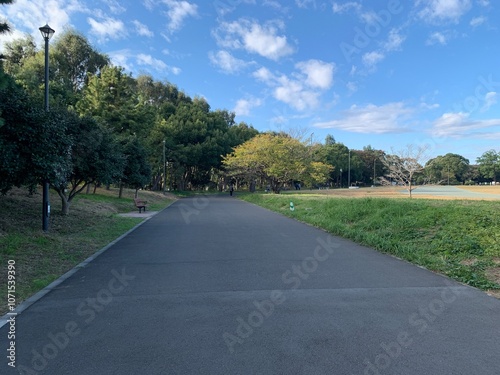 夢の島公園内の景色