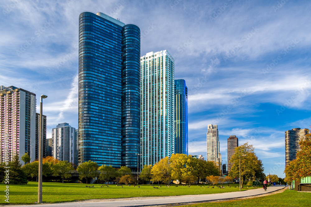 Gęsi na tle panoramy Chicago