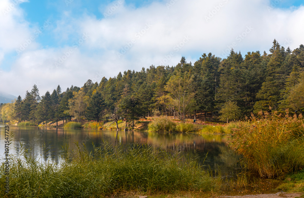 Fototapeta premium Bolu Golcuk Lake and famous house view with reflections.