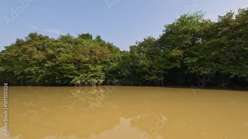Exploring the serene riverbank surrounded by lush greenery and vibrant foliage during a sunny afternoon in a tranquil coastal area