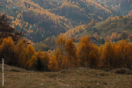 Scenic autumn overview of Magura village in Romania, near the Piatra Craiului mountains photo