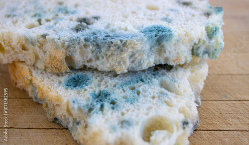 Moldy, stale, spoiled bread. Mold growth on bread or a loaf of bread with spots on it.