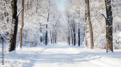 Winter landscape depicting forests blanketed in fresh snow, creating a serene winter atmosphere. Ideal for winter sport themes, with ample copy space for added text.