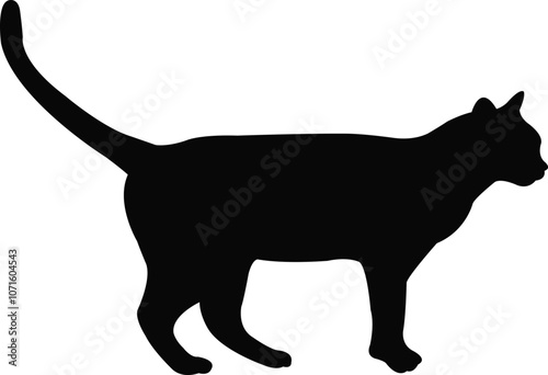 a cat body silhouette vector