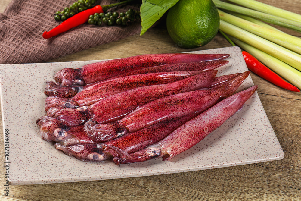 Raw fresh squids for cooking Raw fresh squids for cooking