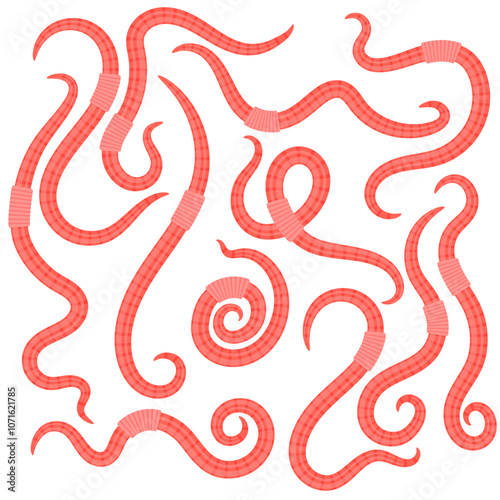 Vector Animal Earth Red Worms for Fishing Isolated on White Background.