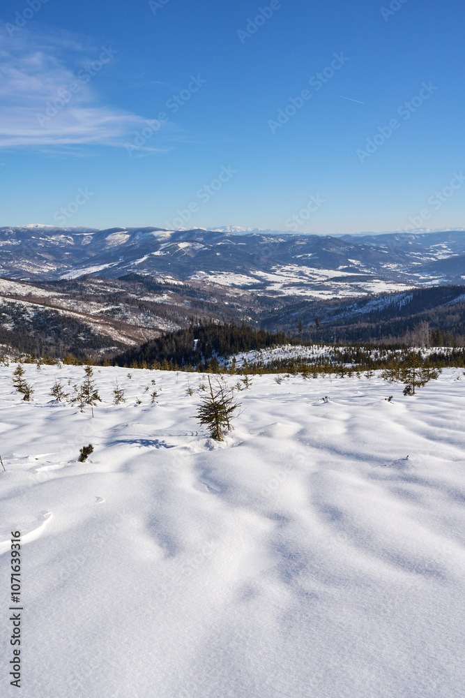 Marvelous valley of Silesian Beskid on Bialy Krzyz, Poland - vertical Marvelous valley of Silesian Beskid on Bialy Krzyz, Poland - vertical