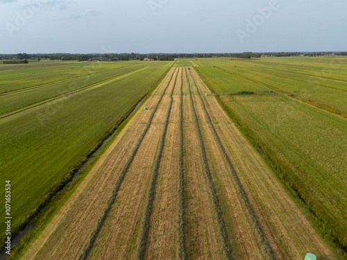 Harvest of grass in agriculture fields in the Netherlands
