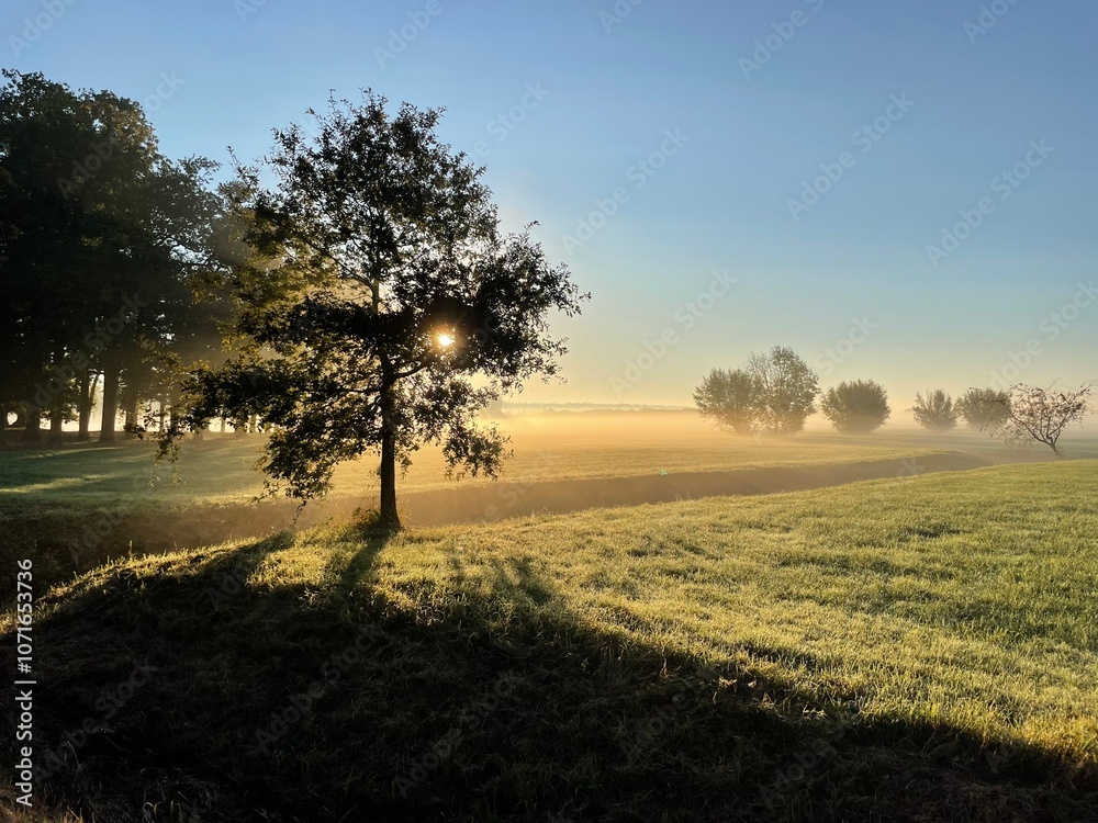 Fototapeta premium Sunbeams early morning forest meadow fog
