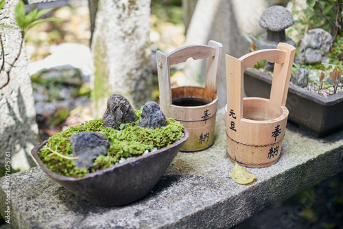 Photography Miniature Japanese rock garden with moss and stones alongside traditional wooden