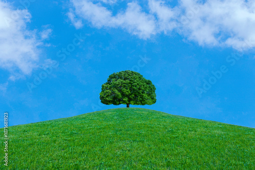 Green Tree on the hill