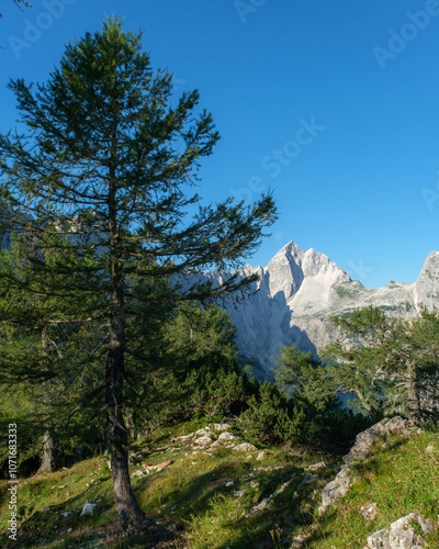 Mount Jalovec from Slemenova spica photo