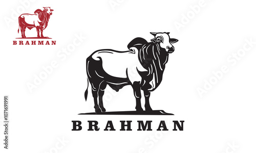 brahman big cattle logo, silhouette of strong cow standing vector illustrations