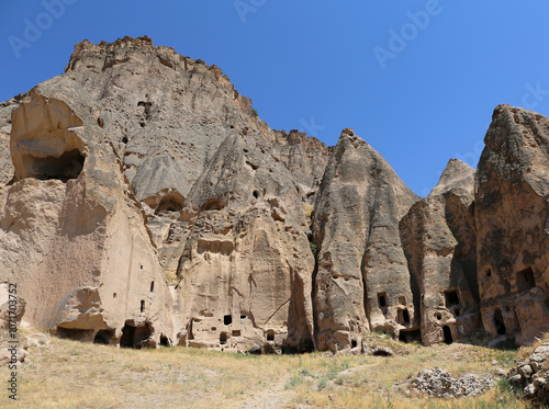 Ruins and Fairy Chimneys with Blue Sky Background and Wild Plants in Selime, Aksaray, Turkey photo