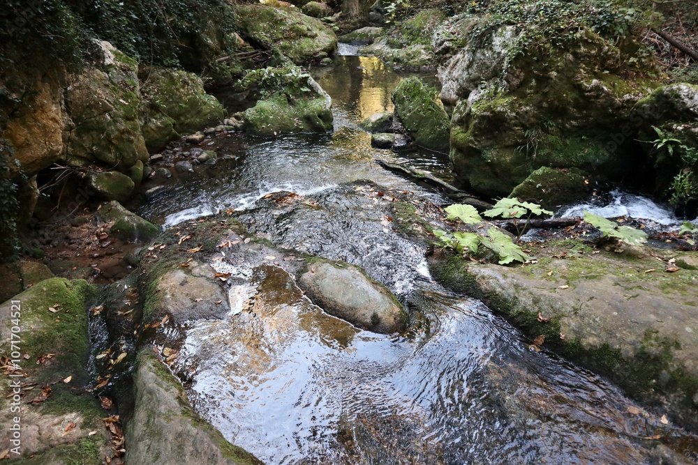 Carpinone - Rapide del Torrente Carpino a valle della cascata