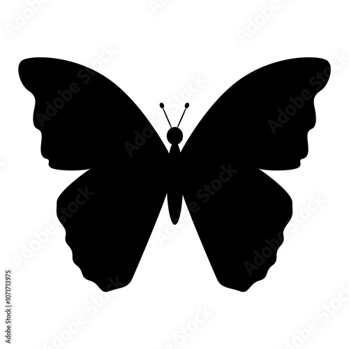 Obraz na płótnie butterfly silhouette vector w salonie