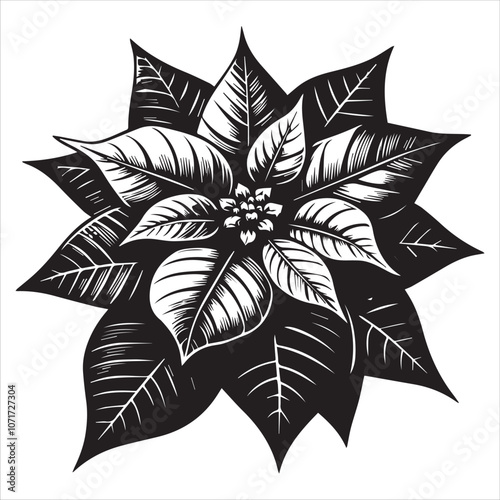 Classic Black and White Poinsettia Illustration for Holiday Designs. This striking black and white illustration of a poinsettia captures the festive spirit of the holiday season.