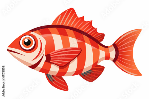 Squirrelfish vector on white background photo