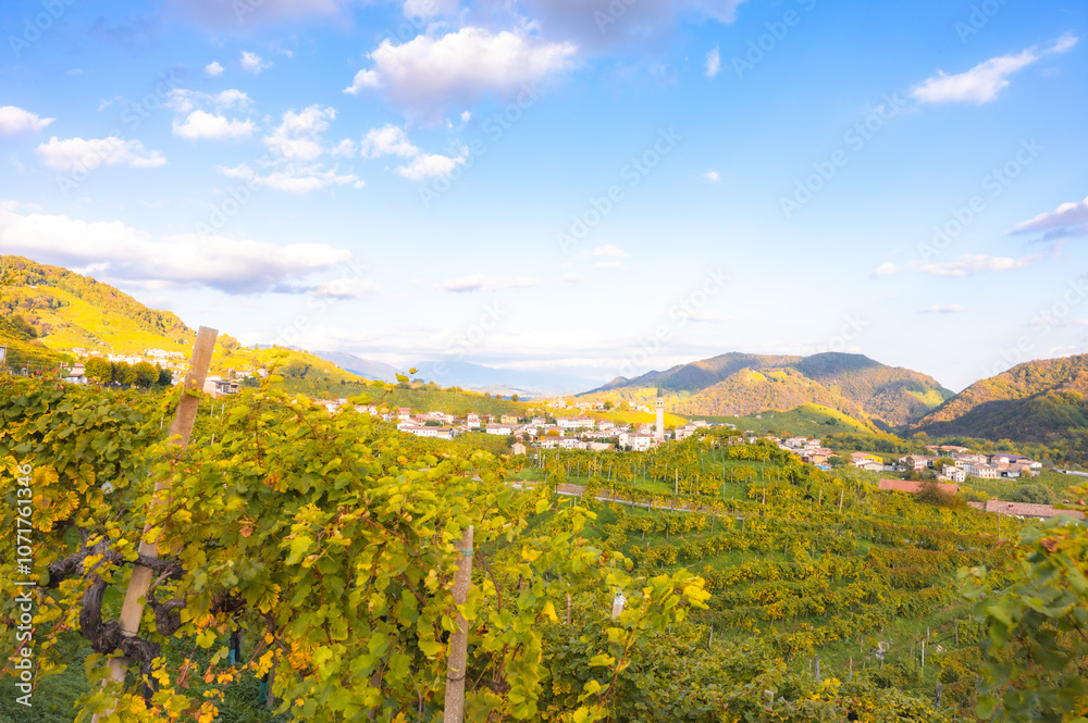 Valdobbiadene, hills and vineyards along the Prosecco road. Italy