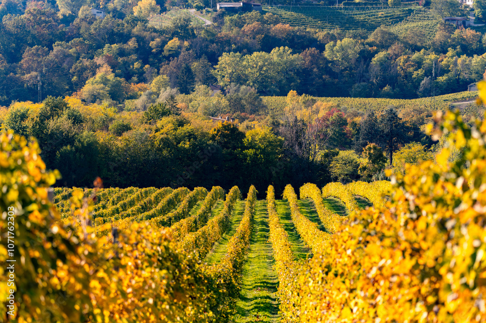 Valdobbiadene, hills and vineyards along the Prosecco road. Italy