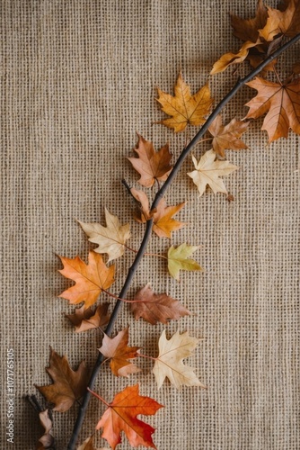 Autumn Leaves and Twigs Bordering a Brown Burlap Background. photo