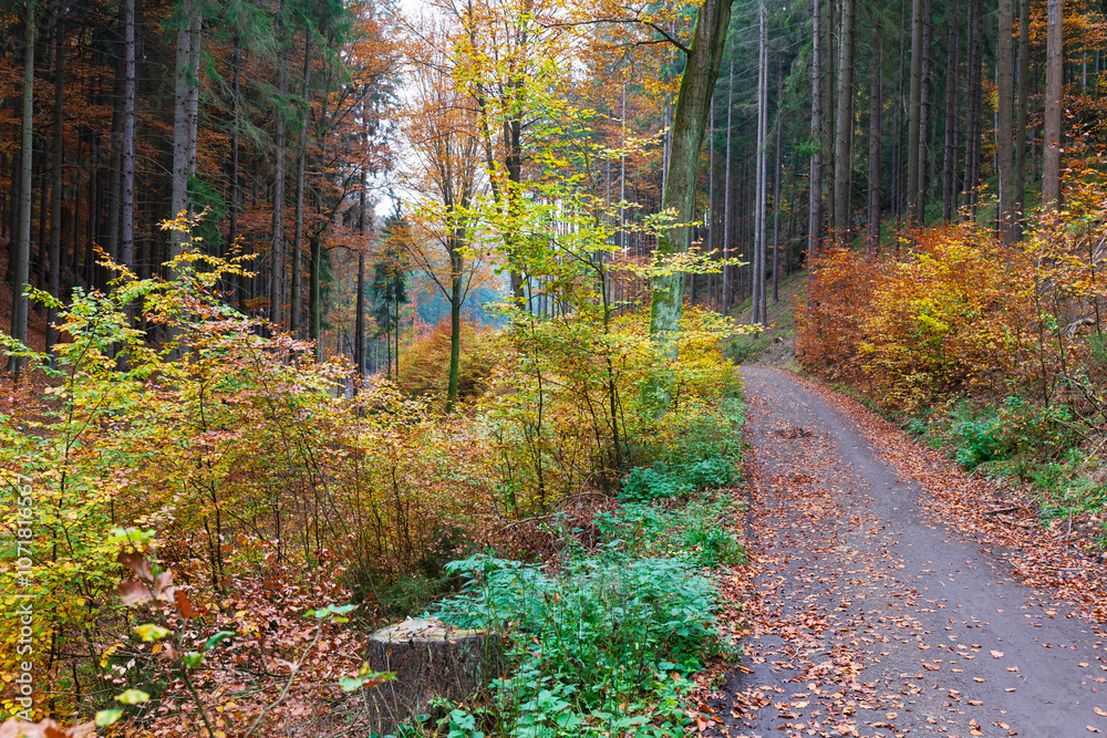 Colorful autumn Landscape in Bohemian Paradise, Czech Republic
