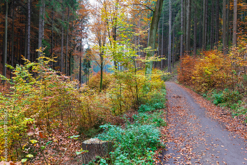 Obraz na płótnie Colorful autumn Landscape in Bohemian Paradise, Czech Republic w salonie