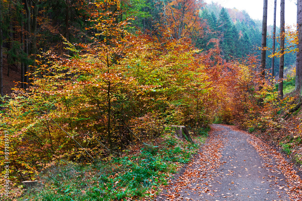 Colorful autumn Landscape in Bohemian Paradise, Czech Republic