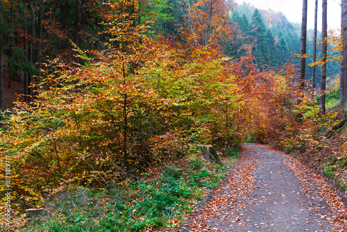 Obraz na płótnie Colorful autumn Landscape in Bohemian Paradise, Czech Republic w salonie