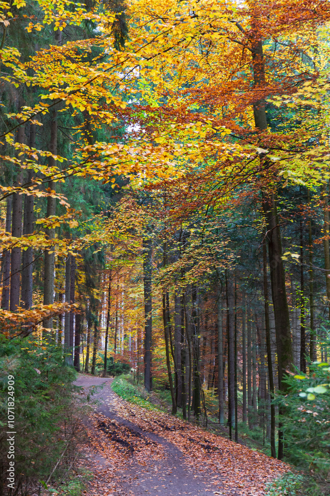 Colorful autumn Landscape in Bohemian Paradise, Czech Republic 