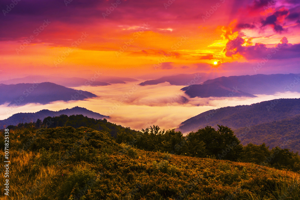 scenic summer scenery in mountains, incredible morning dawn, spectacular nature background scenic summer scenery in mountains, incredible morning dawn, spectacular nature background