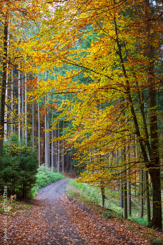 Colorful autumn Landscape in Bohemian Paradise, Czech Republic