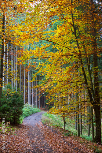 Obraz na płótnie Colorful autumn Landscape in Bohemian Paradise, Czech Republic w salonie