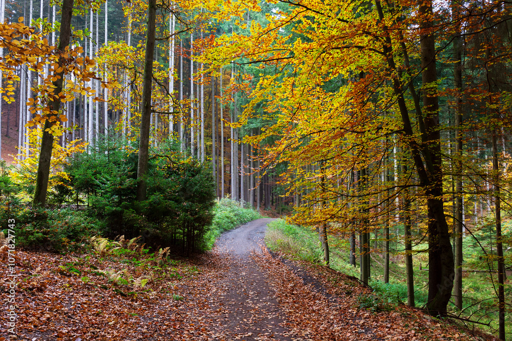Colorful autumn Landscape in Bohemian Paradise, Czech Republic